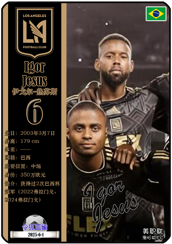 美职联洛杉矶FC球队介绍_洛杉矶FC 2025世俱杯阵容_洛杉矶FC（美国）