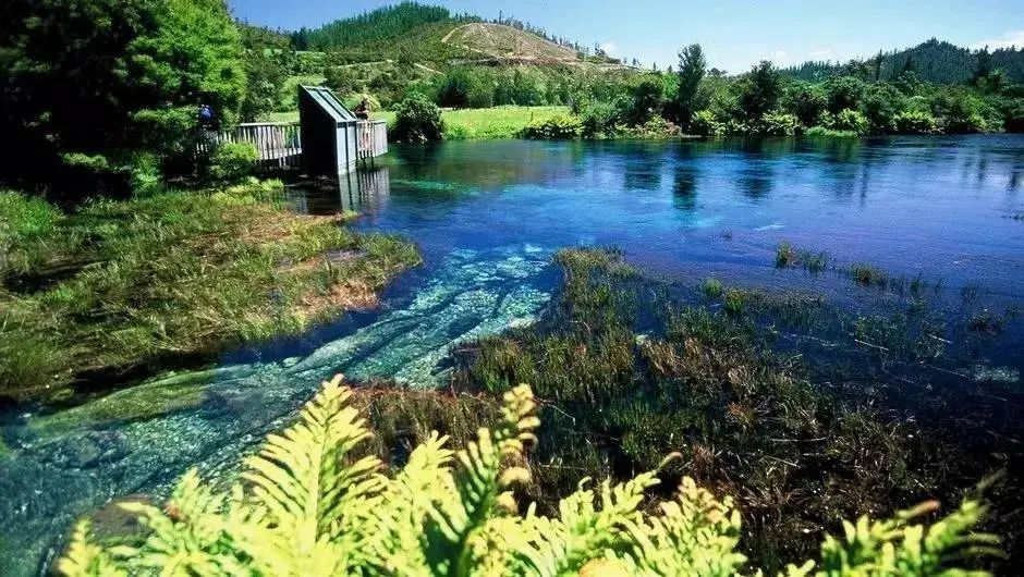 奥克兰城（新西兰）_新西兰旅游指南_新西兰主要城市介绍